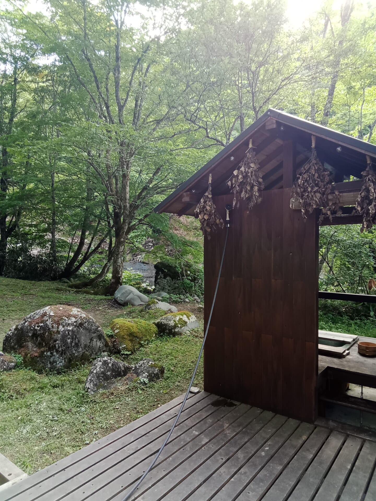 秋の気配感じる一色の森