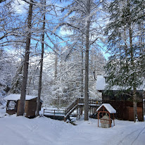 雪に覆われた一色の森プライベートサウナ